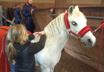 Geslaagde Pony doe-middag!