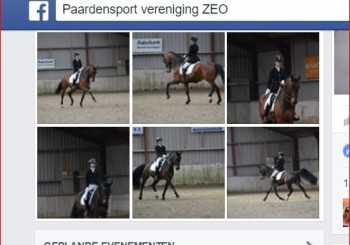 Uitslag & Foto’s Dressuurwedstrijd paarden 5&6 maart!